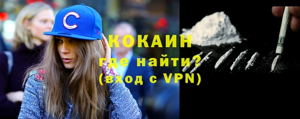 твердый Новозыбков