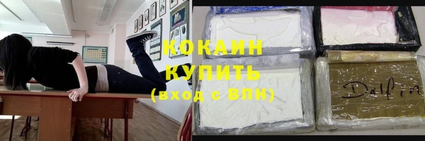 твердый Новозыбков