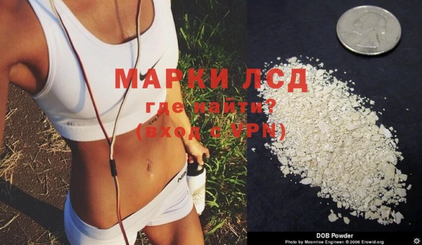 дмт Каменка