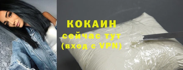 стафф Новодвинск