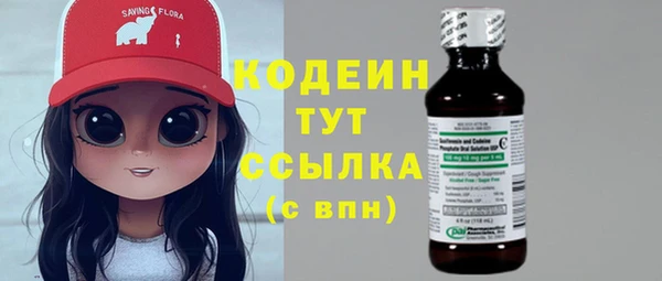 твердый Новозыбков