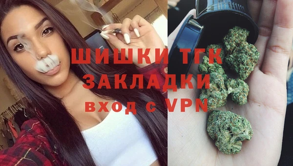 СК Новокубанск