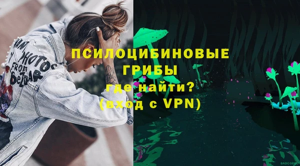 гидра Ахтубинск