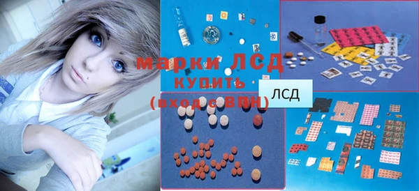 стафф Новодвинск