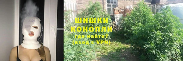твердый Новозыбков