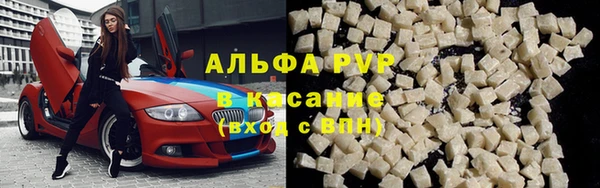 дмт Каменка