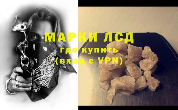 стафф Новодвинск